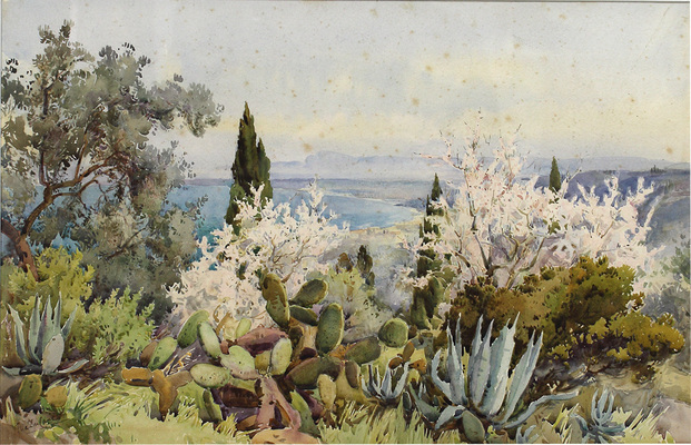 Дьюкейн Элла Мари. Вилла Сахель. Алжир